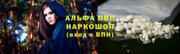 дживик Вяземский