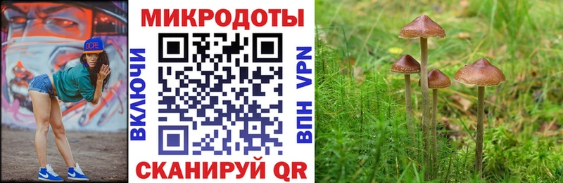 Галлюциногенные грибы Magic Shrooms  где можно купить   Балашиха 